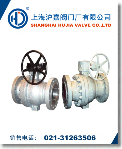 �̶�ʽ���y